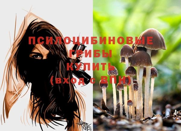 твердый Елизово