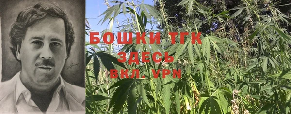 первитин Ельня
