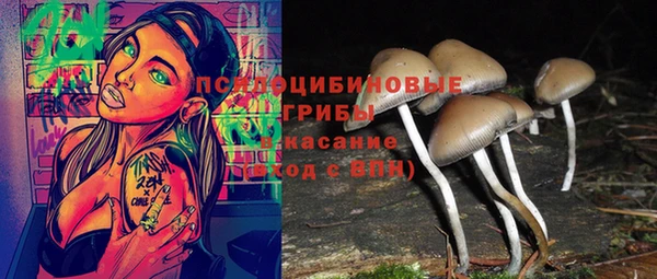 первитин Ельня