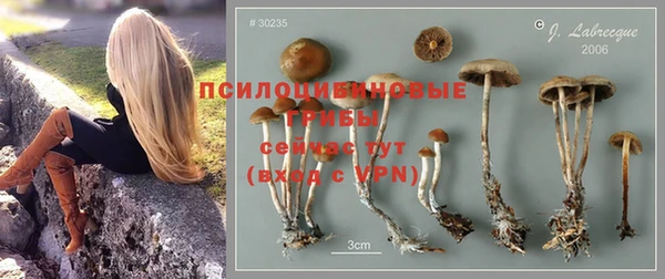 МДПВ Покровск